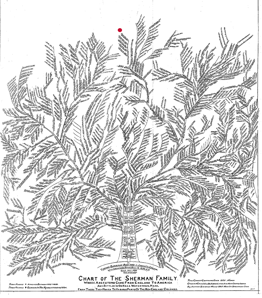 Family Tree Red Dot Hoyt Sherman Family Branch