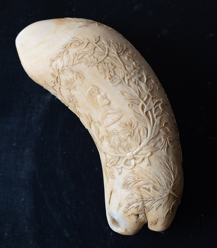 Scrimshaw carving 1829