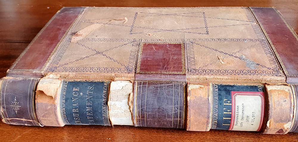 Ledger Insurance Statements Book